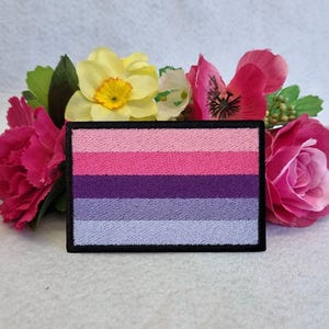Pode incluir: Um remendo bordado em preto e branco com cinco listras horizontais em tons de rosa, roxo e azul. O remendo é cercado por uma borda preta.