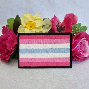 Könnte beinhalten: Ein rosa, weiß und hellblauer Transgender-Pride-Flaggen-Patch mit schwarzem Rand. Der Patch ist mit fünf horizontalen Streifen bestickt.