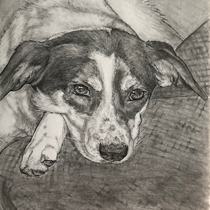 Custom Pet Portrait- Pencil Drawing - Commissioned Art - Cat and Dog Portraits - Birthday Gift - Holiday Present- Special Memory