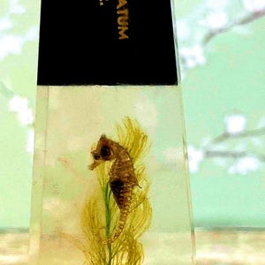 Vintage Metal 40-year Club Letter Opener  with Lucite Handle Miniature Ocean Scene with Seahorse and Shells
