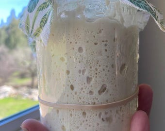 100+ yr. Old Italy Fresh Sourdough Starter Gift - Beginner Starter Bread Kit with Instructions