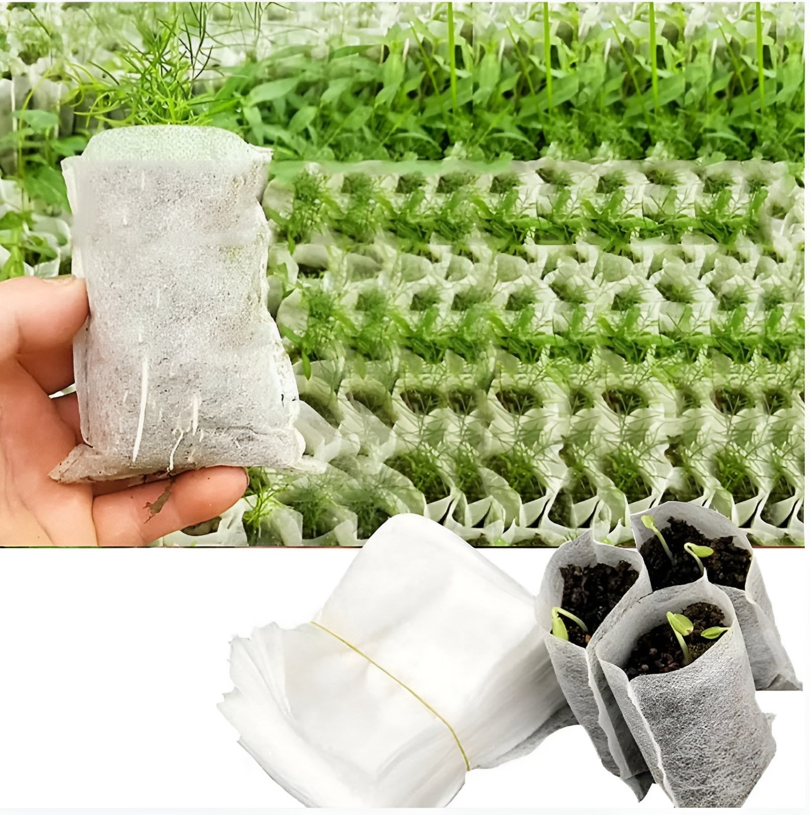 Biodegradable Nonwoven Fabric Nursery Plant Grow Bags Seedling Growing ...