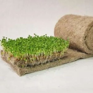 Flax Fibre Growing Mat Pad for Microgreens, 100% Natural Linen fiber,  2 pcs, 25cm X 50cm (10 X 20inch)
