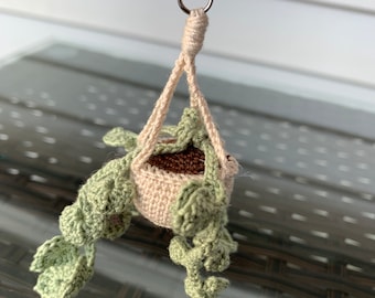 Crochet Plant Keychain, Hanging Plant Car Charm, Bag Tag