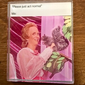 May include: A rectangular magnet featuring a printed meme with the text "Please just act normal" and "Me:". The image shows a person with light brown hair wearing a pink long-sleeved top, holding a grey squirrel against a purple background.