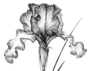 Botanical Trio