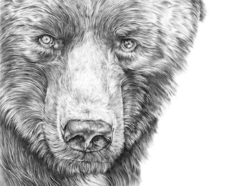 Grizzly