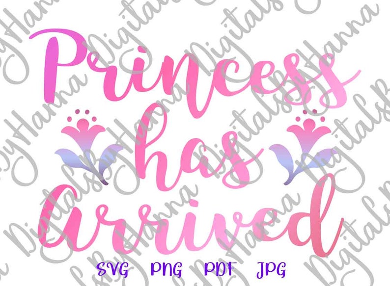 Download Funny Baby Girl Onesie SVG File for Cricut Princess Has | Etsy
