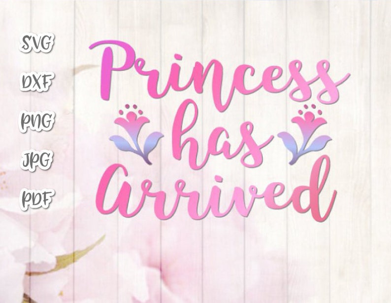 Free Free 299 Princess Onesie Svg SVG PNG EPS DXF File