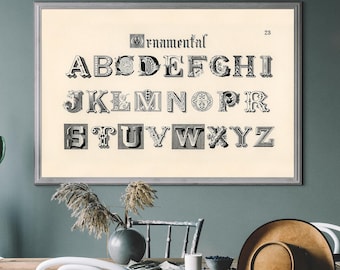 May include: A vintage style alphabet poster with decorative lettering in black and white. The poster is framed and hanging on a green wall.