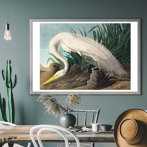 White Heron John James Audubon Vintage Art Print – Birds of America Decor, Naturalist Poster