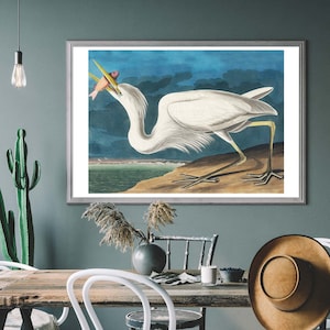 Great White Heron Vintage Art Print, Birds of America Decor, Heron Illustration, Bird Watcher Gift