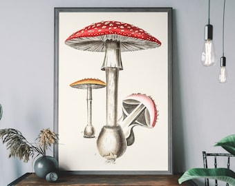 Vintage Red Mushroom Art Print, Toadstool Print, Botanical Fungi Poster, Cottagecore Home Decor
