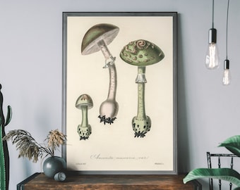 Vintage groene paddestoel kunstprint – Toadstool botanische poster, Cottagecore woondecoratie, kunst aan de muur schimmels