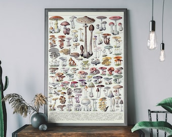 Vintage Mushroom Chart Art Print – Toadstool Botanical Poster, Cottagecore Home Decor, Fungi Illustration