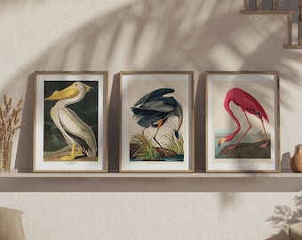 Vintage Bird Wall Art Bundle, Flamingo, Heron, Pelican Gallery Wall, Birds of America Decor, Antique Bird Illustration, John Audubon Poster