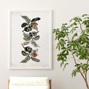 May include: A framed print of a botanical illustration featuring a stylized branch with apples and butterflies. The apples are depicted with anatomical details, and the butterflies have intricate wings.