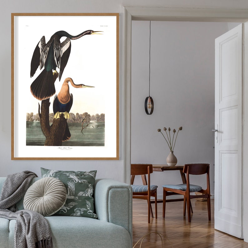 Pu&ograve; includere: Un'illustrazione vintage di due uccelli anhinga appollaiati su un ramo in un ambiente lacustre. Gli uccelli sono neri e marroni con colli lunghi e becchi affilati. L'illustrazione &egrave; incorniciata in una cornice di legno.