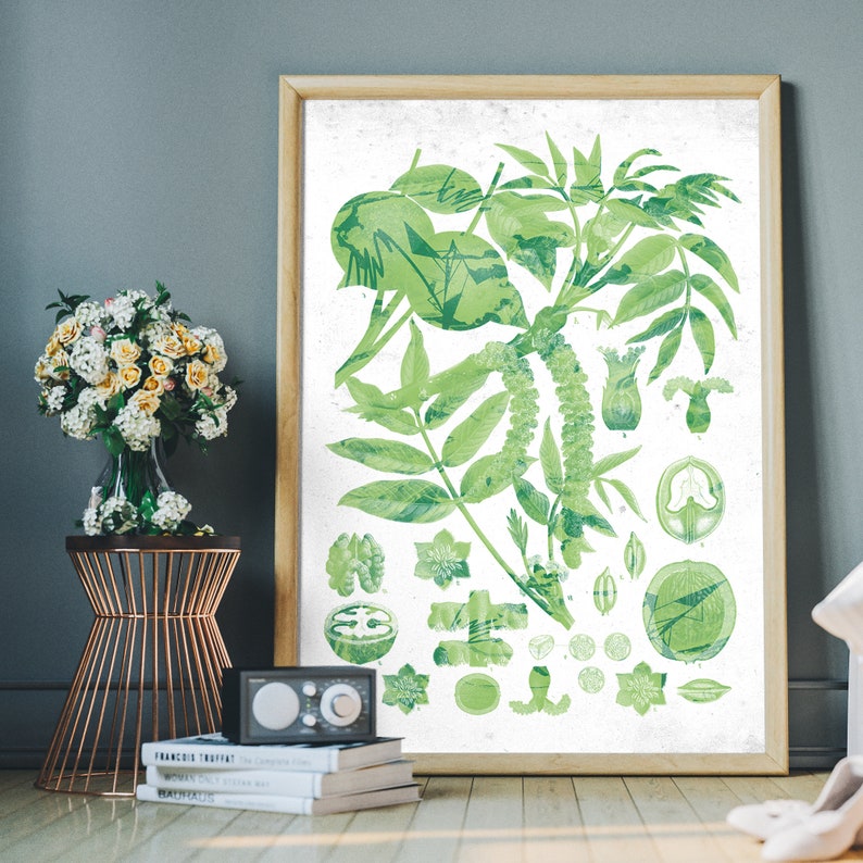 Vintage Flowers Chart Plant Diagram Botanical Wall Decor - Etsy