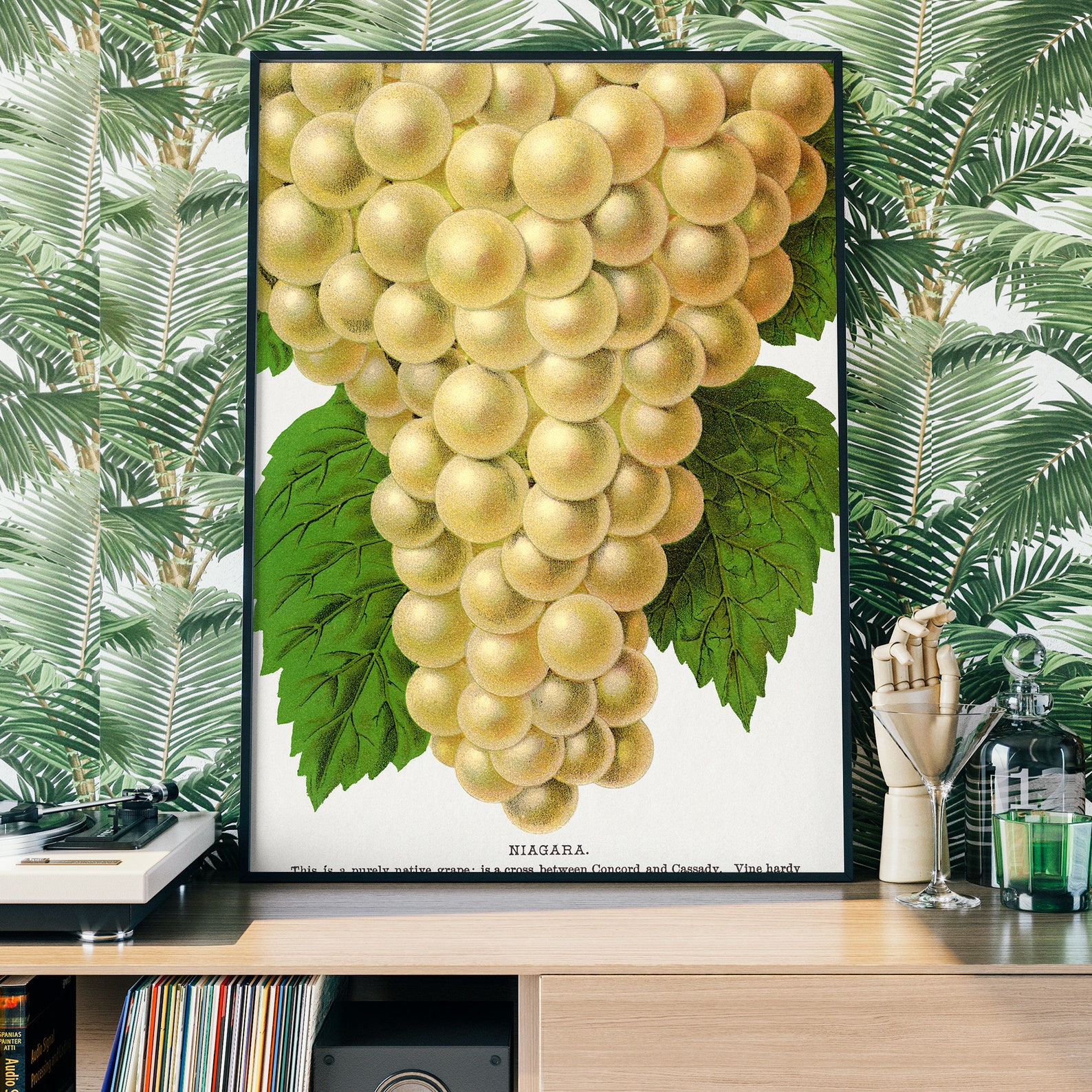 Grape Poster Vintage Grapes Poster, Lithograph Print, Antique Botanical Art Print ...