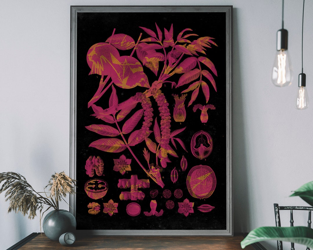 Vintage Flowers Chart – Dark Plant Diagram, Botanical Wall Decor ...