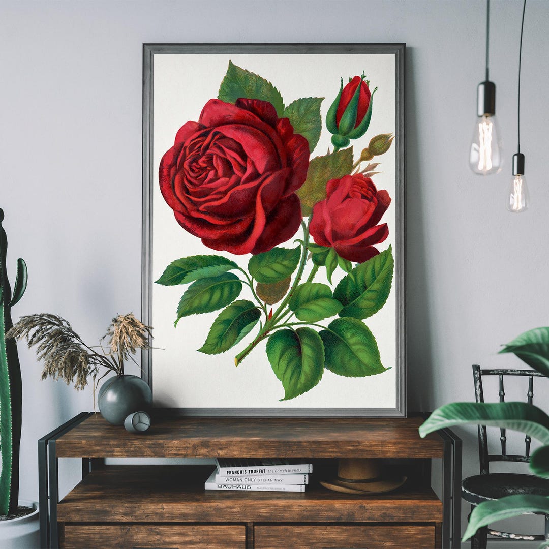 Vintage Red Rose Poster – Antique Botanical Art Print, Red Flower Wall ...