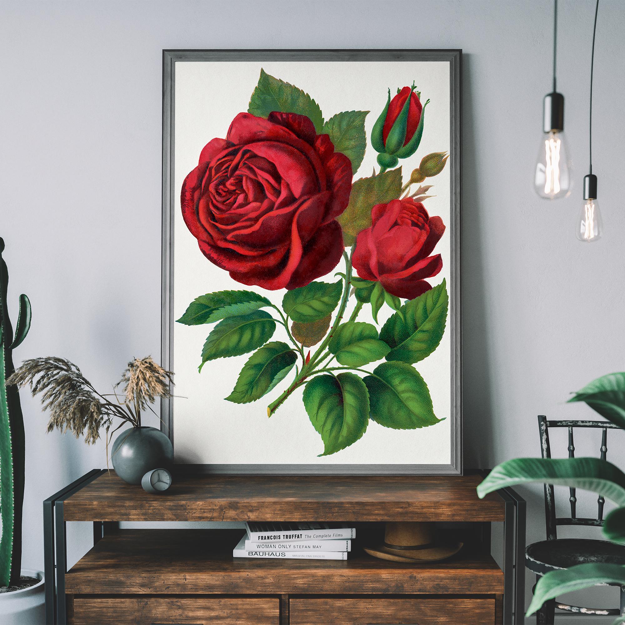 Vintage Red Rose Poster – Antique Botanical Art Print, Red Flower Wall Art, Rustic Wall Decor, Floral Home Decor