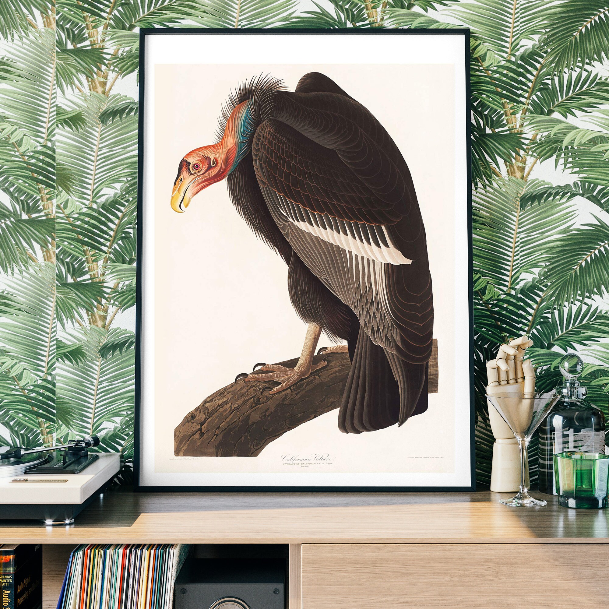 【リトグラフ】オーデュボン「アメリカの鳥類」NO.40 PL.196 単葉 初版 オーデュボンの鳥 『アメリカの鳥類』セレクション