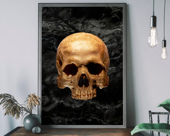 Skull home decor deals
