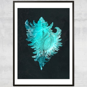 Shell Wall Art – Blue Nautical Decor, Minimal Coastal Wall Decor, Beach House Art Print