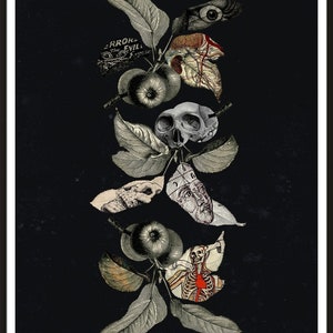 May include: A black and white collage of anatomical illustrations, including a skull, an eye, a heart, and a skeleton, arranged on a dark background with leaves and apples.