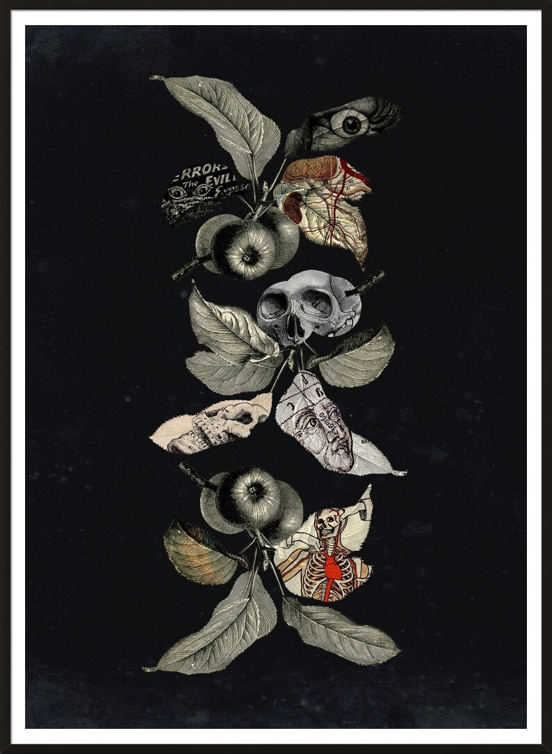 May include: A black and white collage of anatomical illustrations, including a skull, an eye, a heart, and a skeleton, arranged on a dark background with leaves and apples.