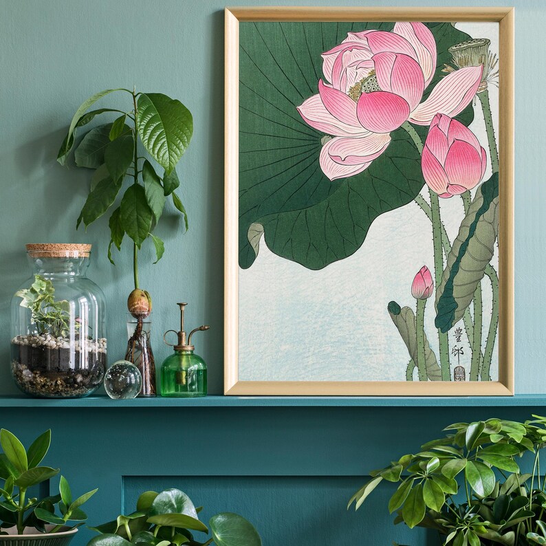 May include: A framed print of a pink and green lotus flower with a large leaf. The print is in a gold frame and is hanging on a teal wall.