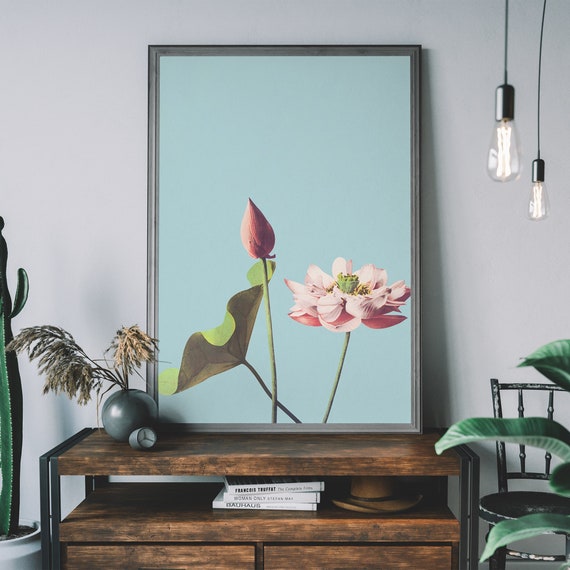 Ogawa Kazumasa Lotus Flower Art Print – Vintage Japanese Art, Botanical Illustration, Gardening Gift