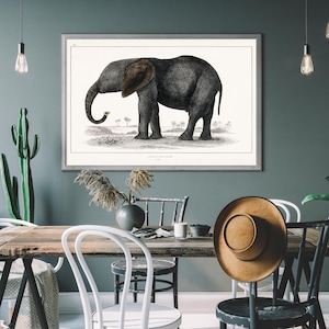 Vintage Elephant Illustration Print, Antique Wildlife Art, Safari Animal Poster, Natural History Wall Decor