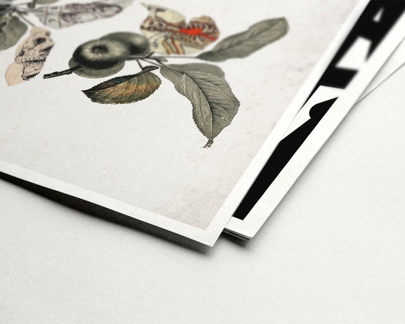 May include: A vintage botanical illustration of a branch with green leaves, two small green apples, and two butterflies. The butterflies are black, white, and red.