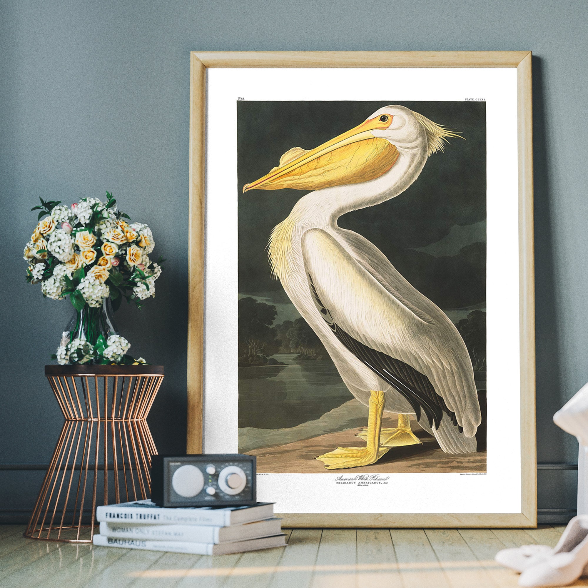 Pelican Vintage Art Print – Antique Bird Illustration, John Audubon ...