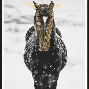 May include: A black horse with a white stripe on its face stands in a snowy field. The horse is covered in snow and has a gold overlay of a horse's anatomy. The text "Tavola III del Lib. I.  ? VIII" is visible in the top right corner of the image.