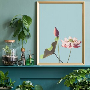 May include: A framed print of a pink lotus flower with a green leaf and a bud on a light blue background. The print is hanging on a teal wall above a shelf with plants and decorative items.