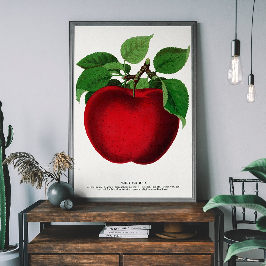 Vintage Apple Poster, Lithograph Print, Antique Botanical Art Print ...