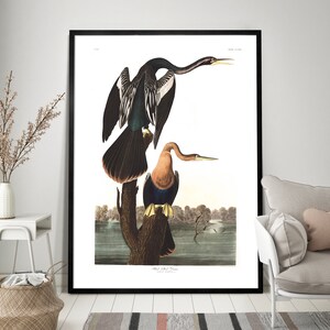 Pu&ograve; includere: Un'illustrazione vintage di due cavalieri dal collo nero appollaiati su un ramo d'albero. Gli uccelli sono raffigurati in uno stile realistico con piume e segni dettagliati. Lo sfondo presenta una scena lacustre serena con alberi e vegetazione.