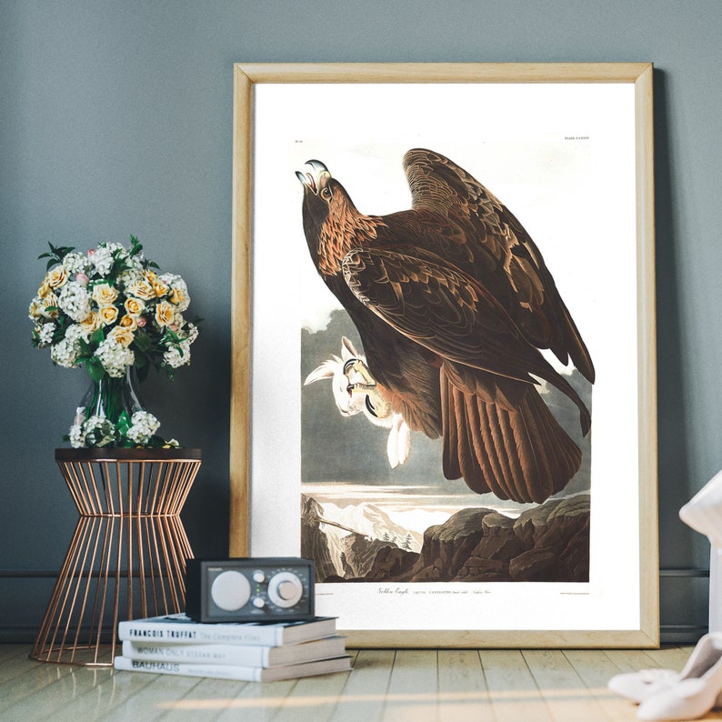 Vintage Golden Eagle Art Print Birds of America poster | Etsy