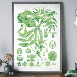 Vintage bloemenkaart, plantendiagram, botanisch muurdecor, bloemmotief
