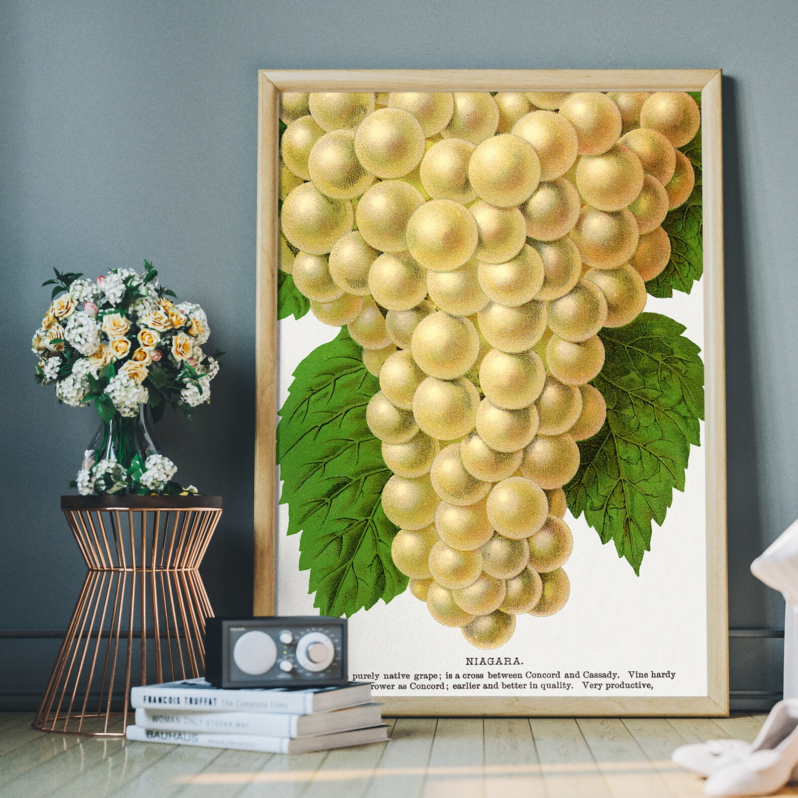 Grape Poster Vintage Grapes Poster, Lithograph Print, Antique Botanical Art Print ...