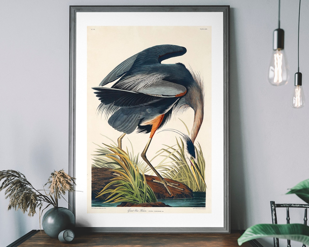 Vintage Blue Heron Framed Art main image 1