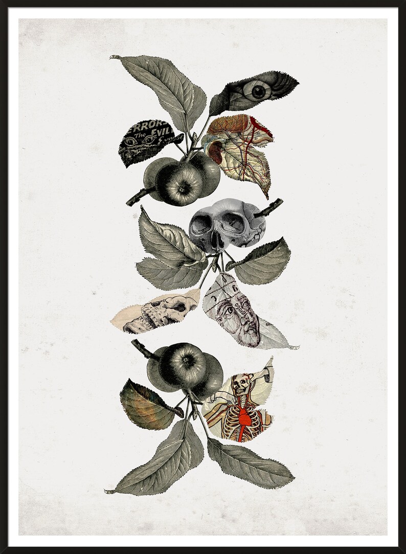 May include: A black and white illustration of a tree branch with leaves and apples. The apples are replaced with anatomical illustrations of a skull, an eye, a heart, and a skeleton.