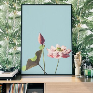 May include: A framed print of a pink and white lotus flower with a green leaf and a pink bud on a light blue background.