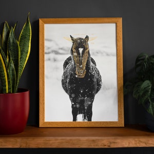May include: A framed black and white photograph of a horse with gold horns standing in a snowy field. The horse is facing the camera and has a white star on its forehead.