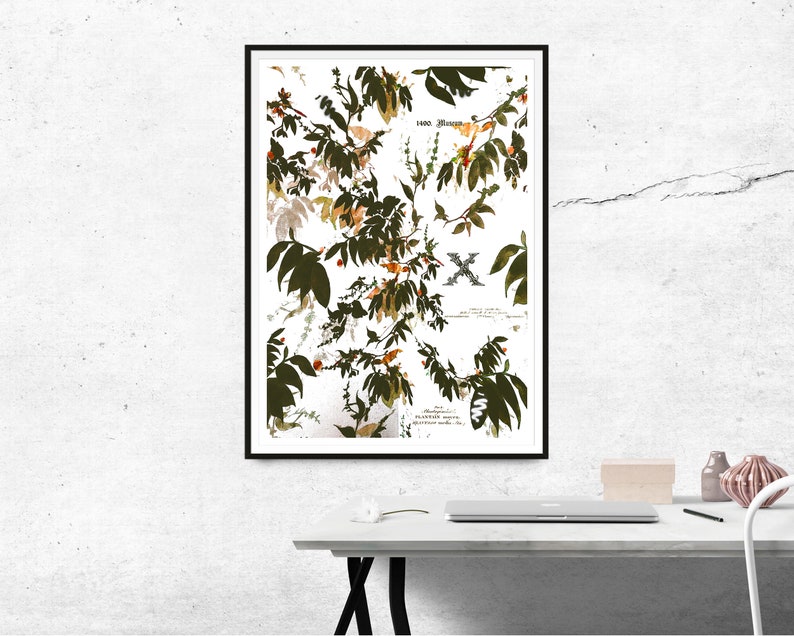 Vintage Botanical Spring Decor Print – Floral Art, Antique Plant Print ...