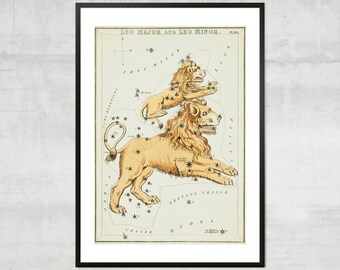 Leo wall art, Antique Zodiac Decor, Vintage Astrology poster, Star sign gift